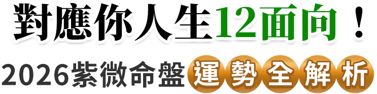 2026命盤運勢,紫微斗數,分析項目全覽